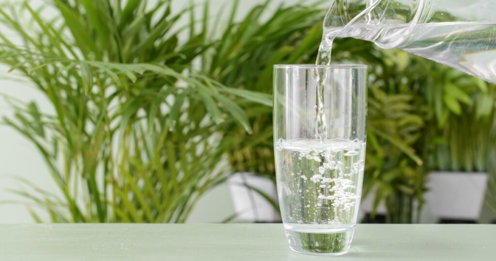 Glass of water with mint highlighting the role of hydration in digestion