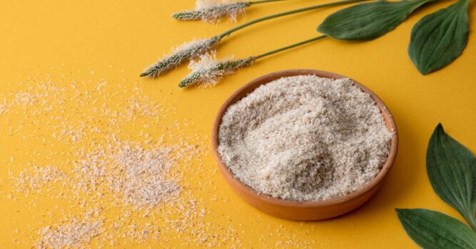 Managing IBS: Effective Supplements for Relief
