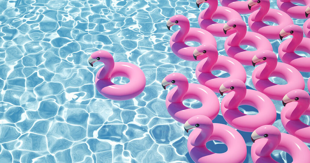 rubber flamingos in the pool