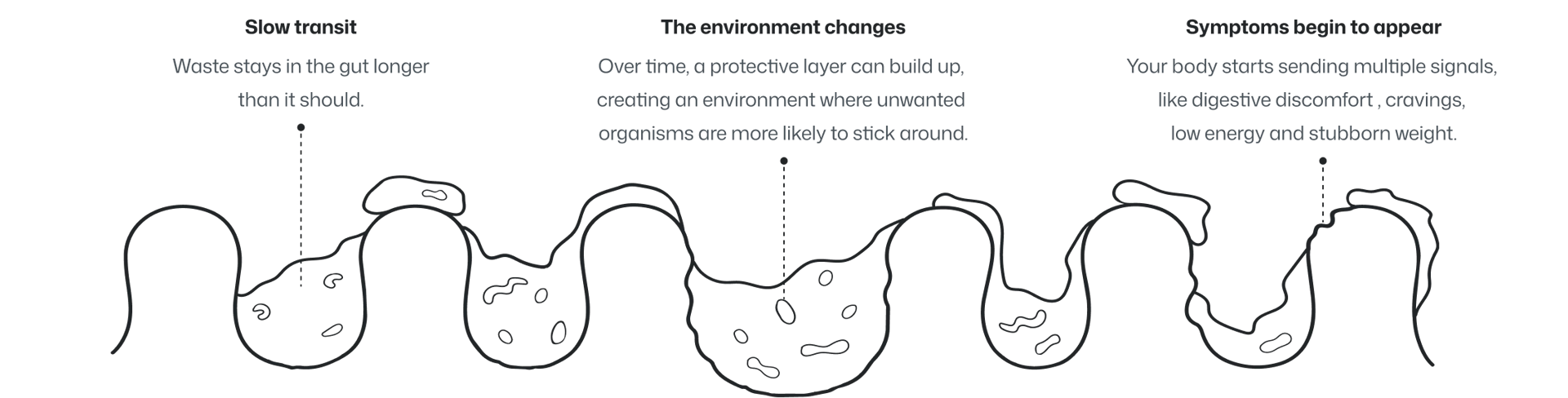 Slow gut transit lets waste build up over time